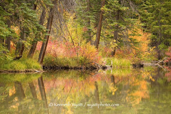 Lizard Lake, Colorado, reflection, fall color photo